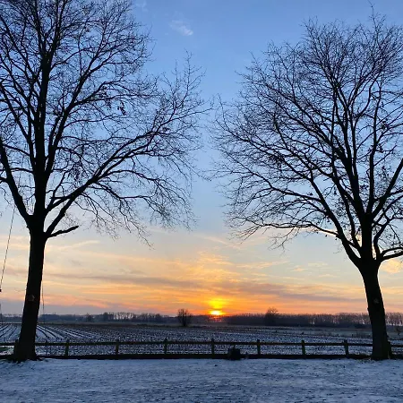 Damse Paveljoentje Comfort En Uitzicht In * Damme